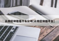 云南区块链是什么公司[云南区块链平台]